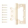 Петля накладная Apecs 100*75*2,5-B2-Steel-GMS