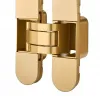 Петля скрытой установки Vela Prima 110*30-2.0-MSG (матовое золото)